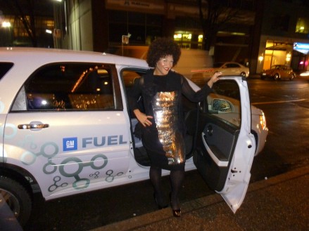 Measha1FuelCell.jpg